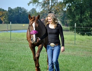 Equine Walking