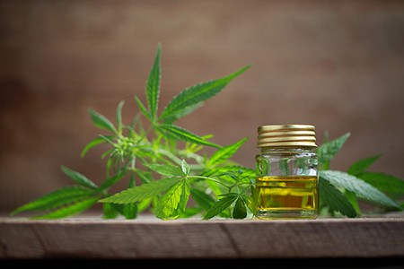 Hemp and Food Safety