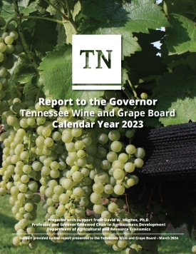 Winery Startup