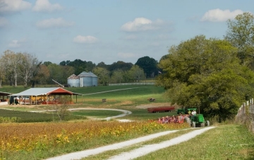 New Farm New Farmland