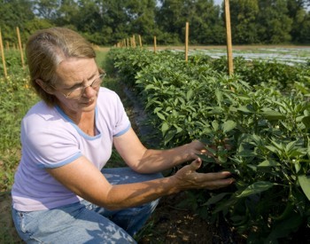 AgFarOrganics