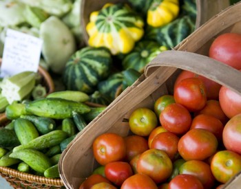 Fruitsvegetables Fruitsvegetables