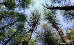 Cost Share Forest Industry 4 Cost Share Forest Industry 4