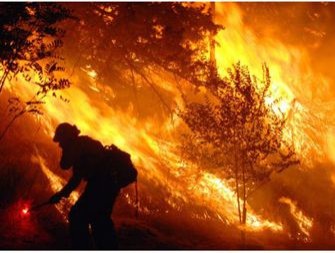 AgForWildfire2