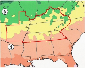 SeedlingMap Picture of southern state area where seedlings originate