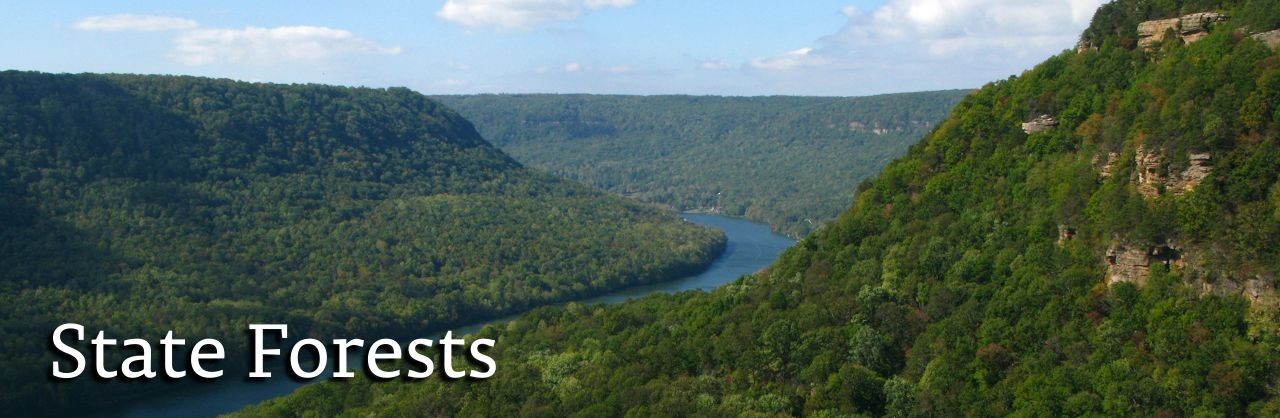hero_stateforests hero_stateforests