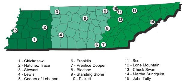 AgForSForestmap AgForSForestmap