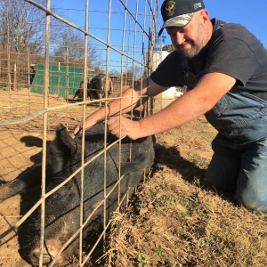 Running Hog Farm Running Hog Farm