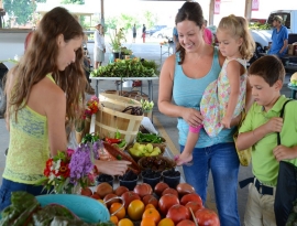 Farmer's_Market Farmer's_Market