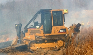 forestry_vendor_services forestry_vendor_services