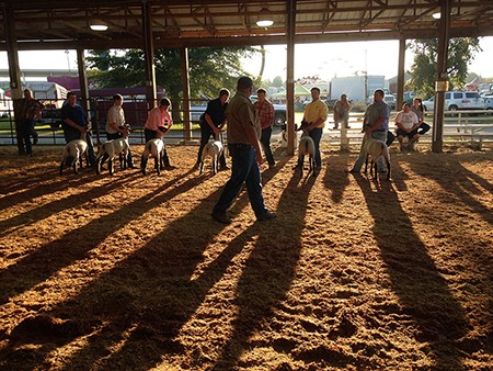 Fair Season in Full Swing Fair Season in Full Swing