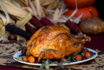 Holiday Turkey