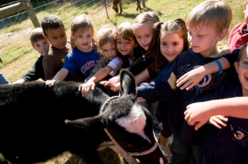 Farm Summer Camp Farm Summer Camp
