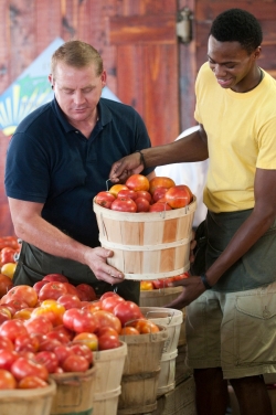 Farmers Market