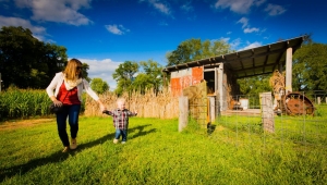 Mayfield Farm Park