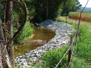 Perry County Farm Stream Bank Perry County Farm Stream Bank