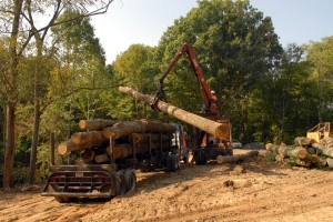 Logging in Tennessee Logging in Tennessee