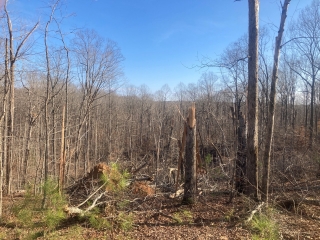 Natchez Trace State Forest Tornado Damage Natchez Trace State Forest Tornado Damage