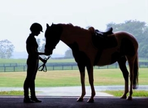Horse and Rider