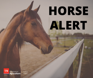 Virus Detected in West Tennessee Horse Virus Detected in West Tennessee Horse