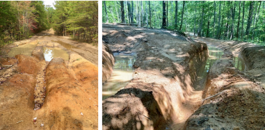 Pickett State Forest Damaged Roads