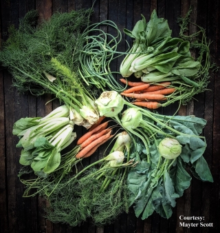 Weird Veggies