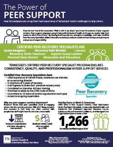 image of peer support onepager