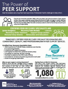 Image of Peer Support Onepager