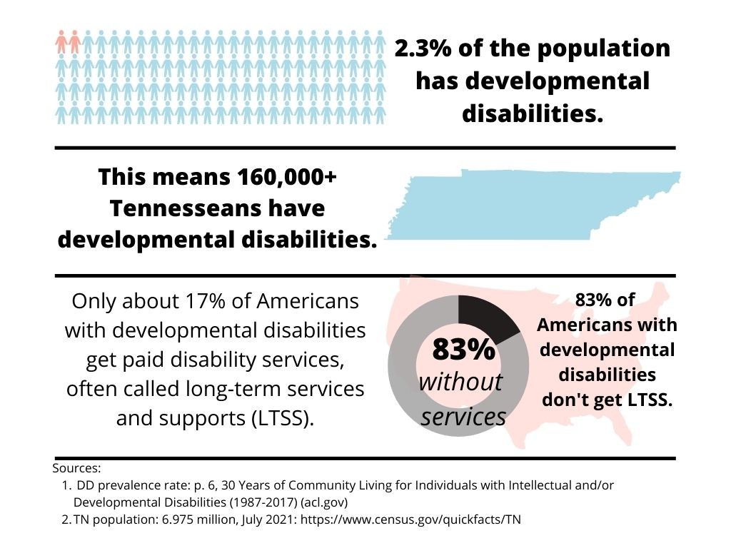 Developmental Disability data in TN See the section below for the description of information shown in the chart and sources. Chart shows the prevalence rate for developmental disability (2.3%) and the number of Tennesseans that would equal (more than 160,000) and that only 17% of Americans with developmental disabilities nationally get home- and community based services