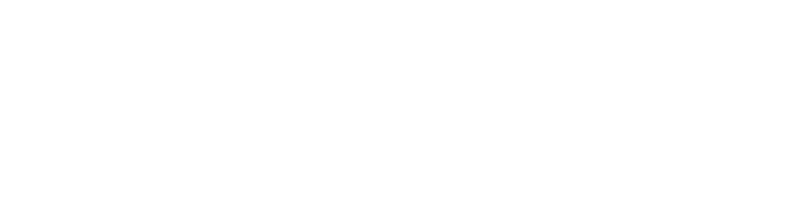 Tennessee State Government, Intellectual and Developmental Disabilities logo