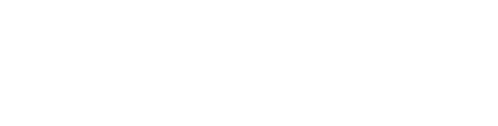 Tennessee State Government, Safety & Homeland Security logo