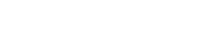 Tennessee State Government, TN Emergency Management Agency (TEMA) logo