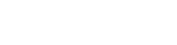 Tennessee State Government, Volunteer ChalleNGe Academy logo