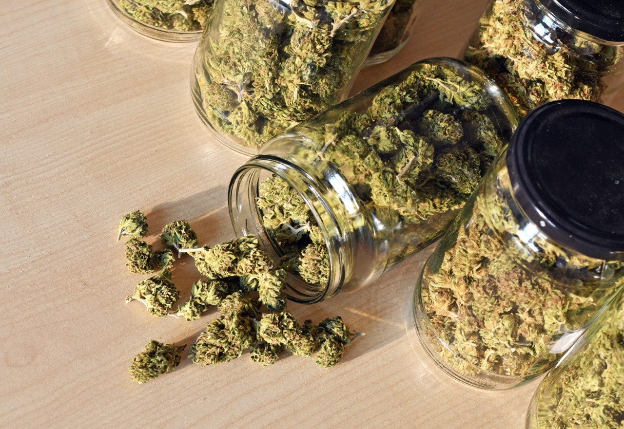 Hemp vs Marijuana
