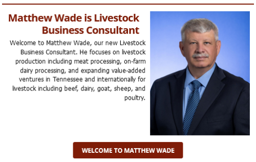 Matthew Wade