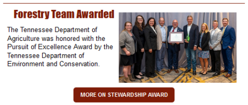Forestry Strike Team Stewardship Award