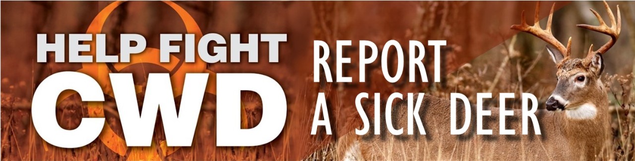 Report A Sick Deer
