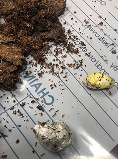 Photo of Contraband