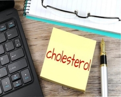 Cholesterol 101