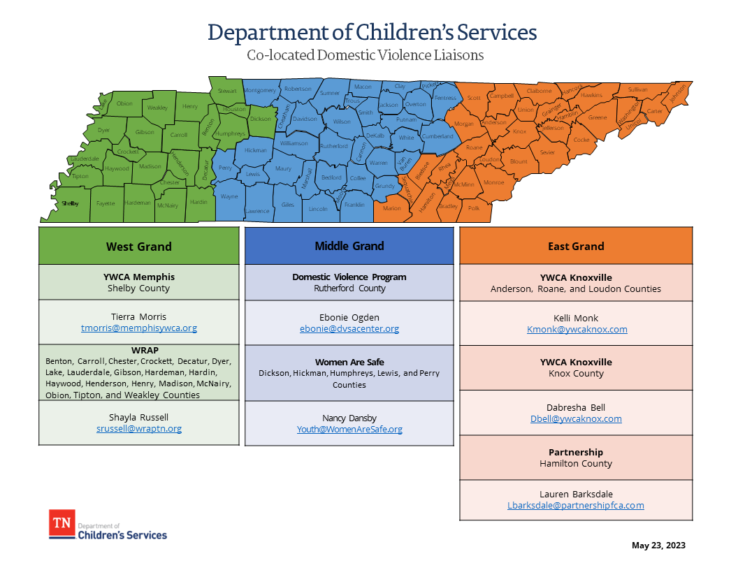 Co-located Domestic Violence Liaisons
