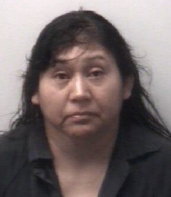 Maria Vega Maria Vega