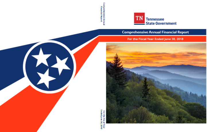 2019 CAFR Cover