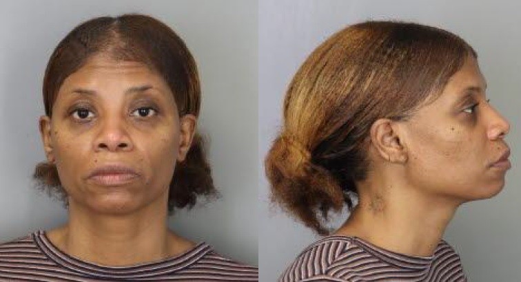 TennCare fraud mug shot