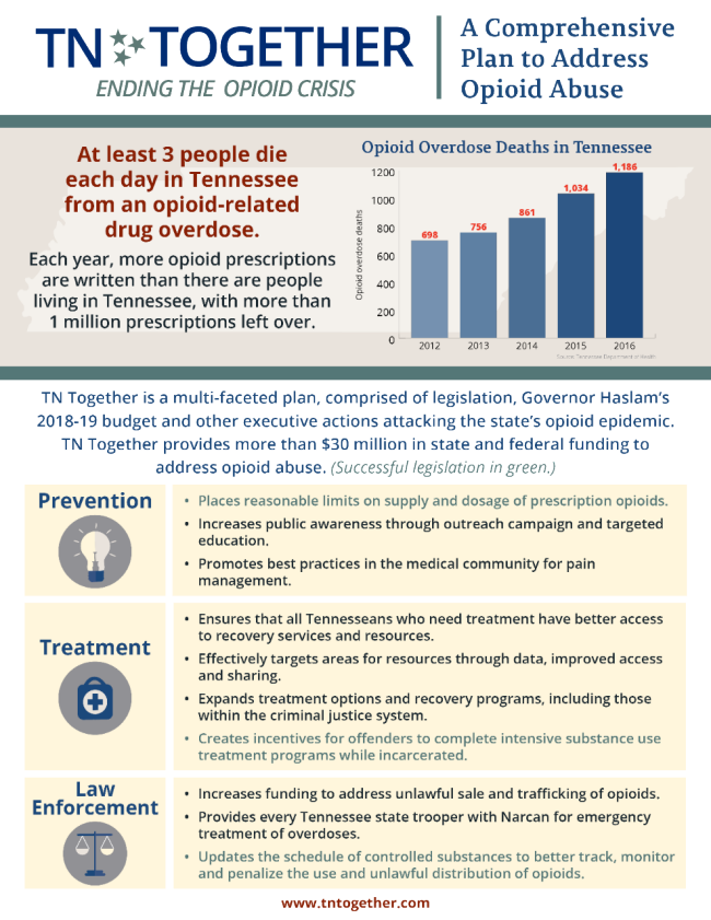 OpioidGraphicSummary