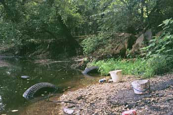 environmental