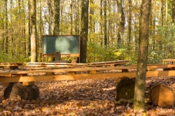 outdoor classroom with trees, chalk board, and wooden benches