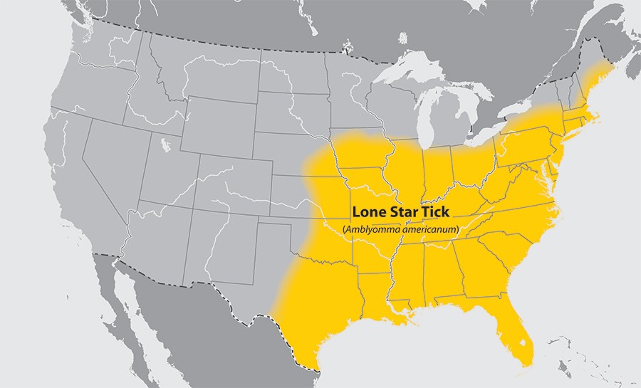Lone star tick distribution Lone star tick distribution