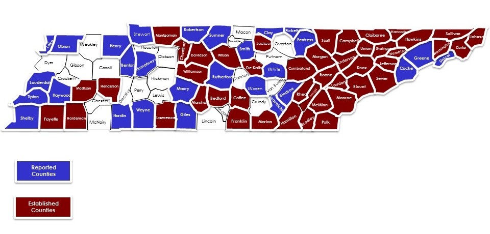 Map of reported and established Ixodes ticks, Tennessee 2018-2019 Map of Reported and Established Ixodes Ticks, Tennessee 2018-2019
