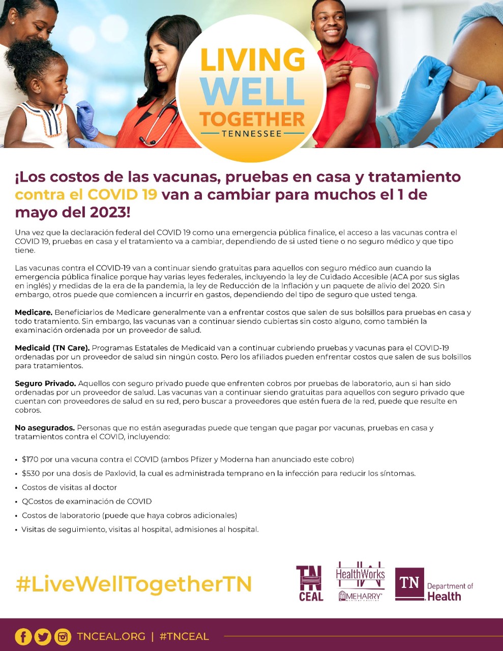TNCEAL- Costs of COVID 19 Translation SPANISH