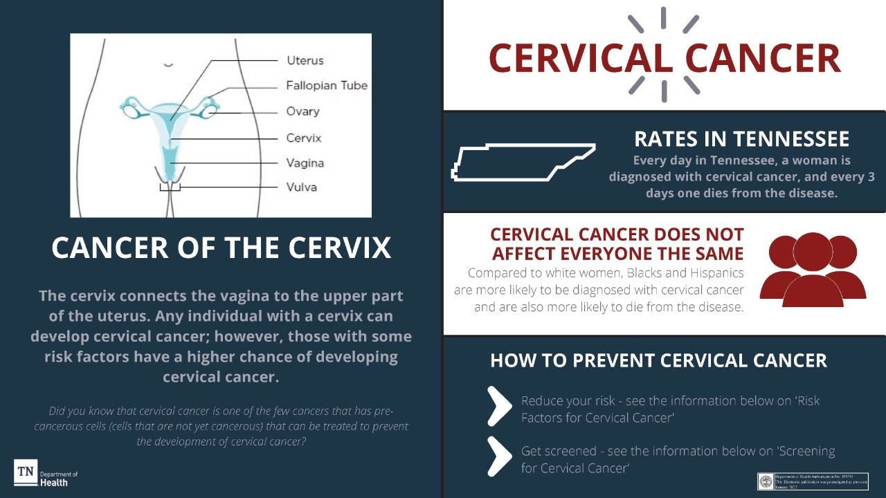 Cervical-Cancer-Screening-Infographics-Promulgated-01-2022 Cervical-Cancer-Screening-Infographics-Promulgated-01-2022
